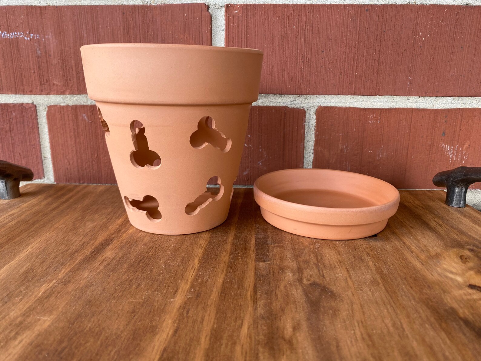 The Money Shot Orchid Pot 5 Inch Terra Cotta Orchid Pot With Etsy
