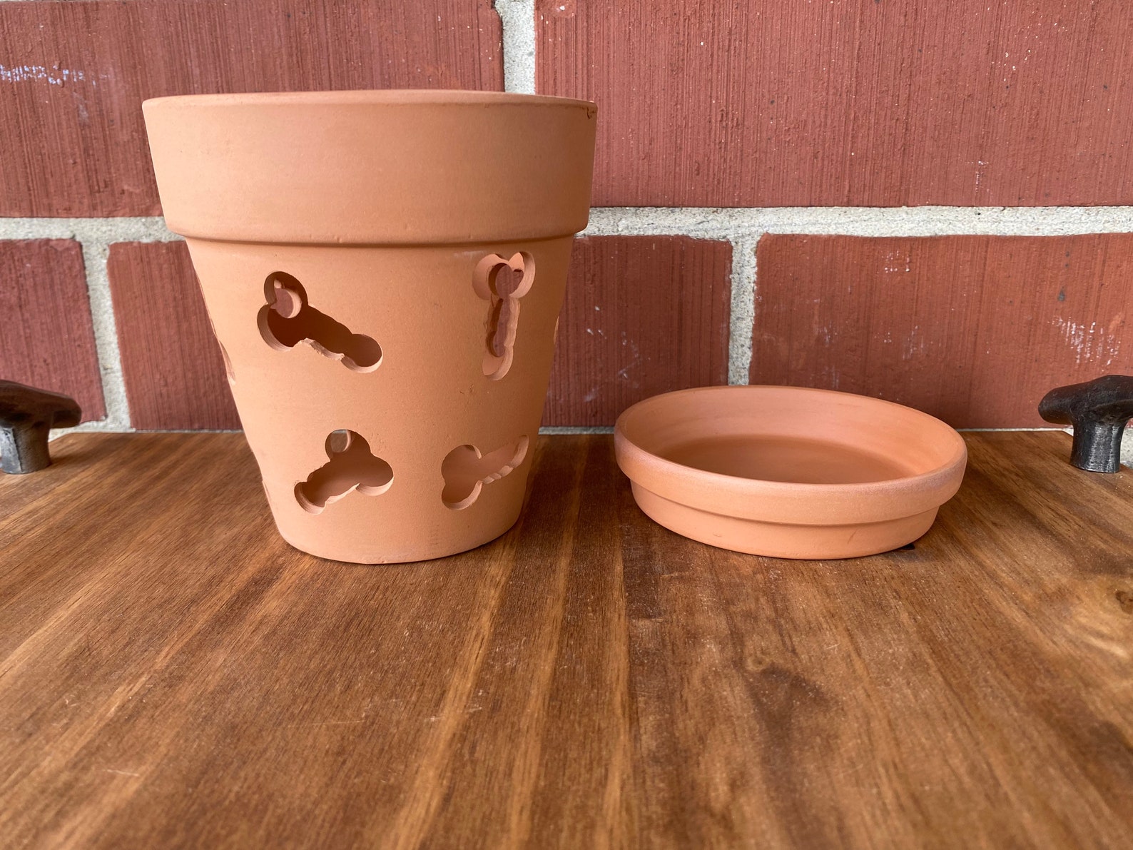 The Money Shot Orchid Pot 5 Inch Terra Cotta Orchid Pot With Etsy