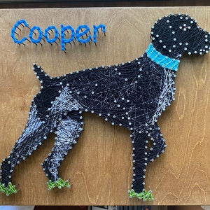 May include: String art of a black and white dog with a blue collar. The dog's name, "Cooper", is spelled out in blue letters above the dog.