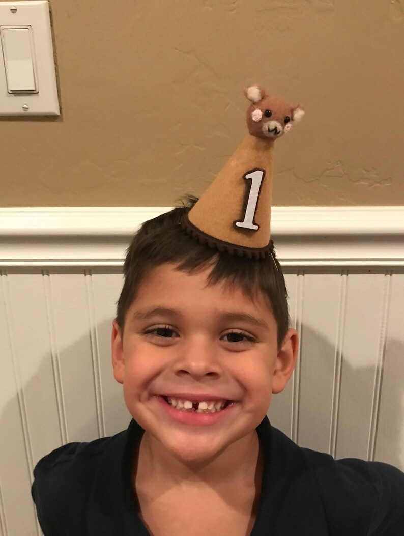 Teddy Bear Picnic Birthday Outfit One Happy Camper Birthday Etsy