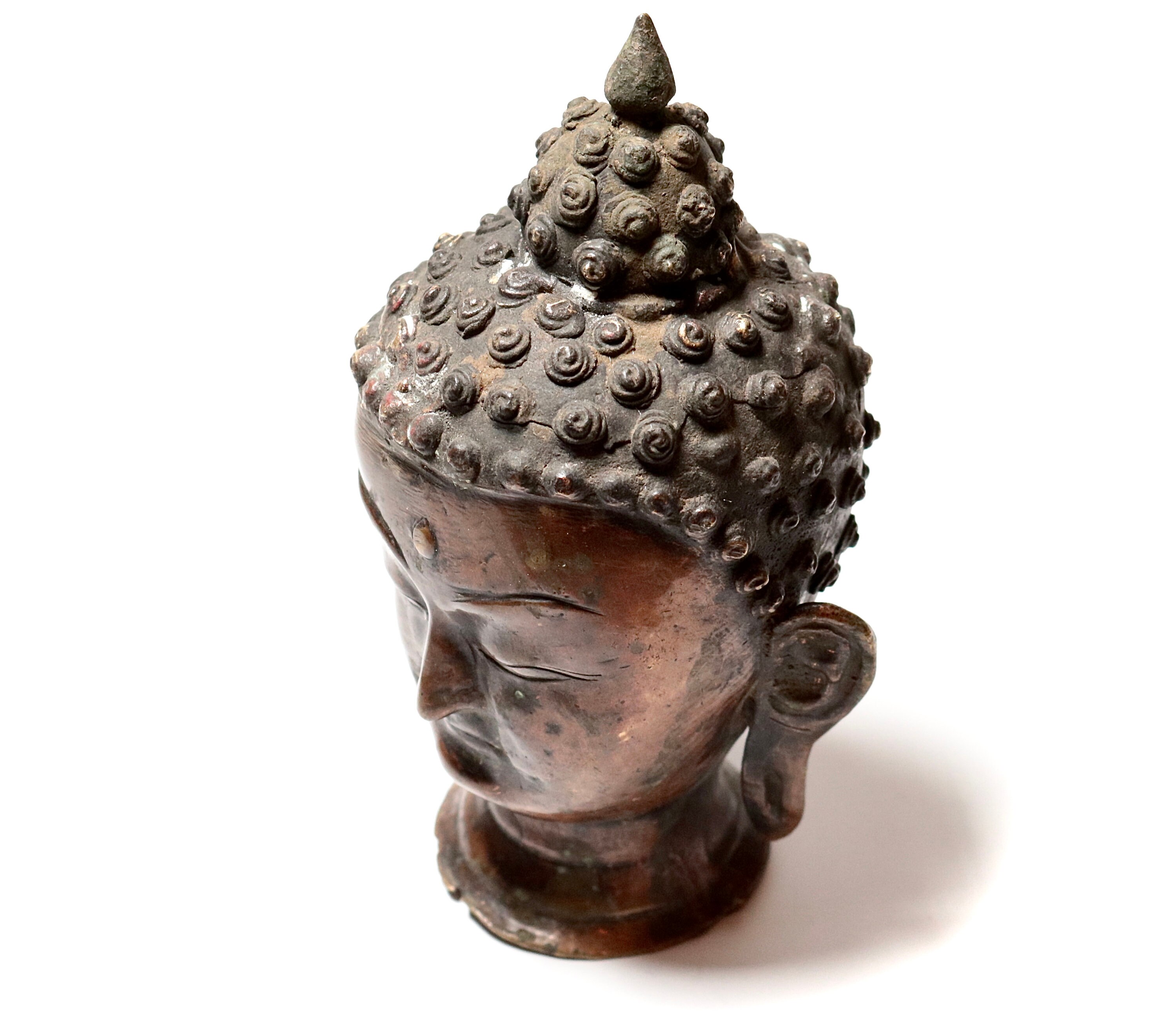 Tête de Bouddha - Buddha Head