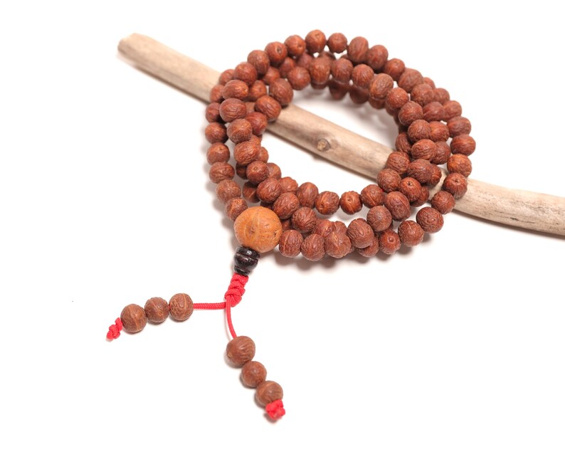 May include: A mala necklace featuring numerous small, round, textured brown beads strung together. A larger, smooth, light brown bead sits at the center, followed by a dark brown bead and a bright red cord ending in two strands with additional beads.