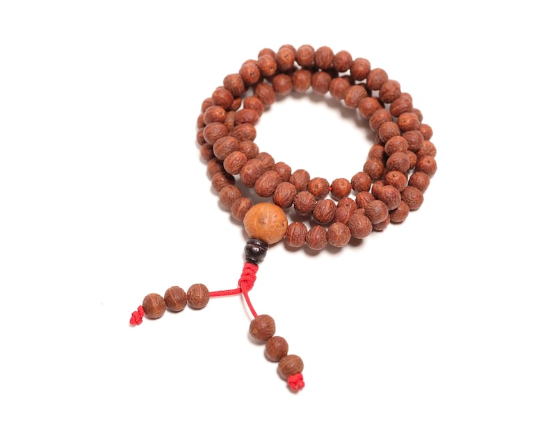 May include: A prayer bead necklace featuring numerous small, textured brown seeds arranged in a circular loop. A larger, smooth tan bead sits at the base, connected to two dangling red cords, each finished with a few additional brown seed beads.