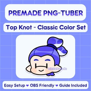 Top Knot Splatuber - 6 Ink Colors, 5 Skin Tones | Premade PNG-tuber Splatoon V-tuber Vtuber Model Livestreaming Stream Twitch Youtube OBS