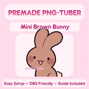 Vooraf gemaakt mini-png-knolmodel Mini bruin konijntje | Geschikt voor beginners | V-Tuber, Vtuber, Livestreaming, Stream, Twitch, Youtube, OBS