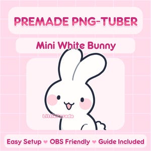 Vooraf gemaakt mini-png-knolmodel Mini wit konijntje | Geschikt voor beginners | V-Tuber, Vtuber, Livestreaming, Stream, Twitch, Youtube, OBS