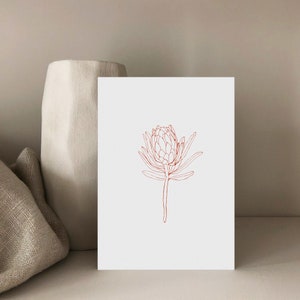 Carte postale Protea, Royal Protea, Carte d’anniversaire, Lineart, Carte cadeau, Carte postale fleurie, Carte de vœux, Carte cadeau, Floral, A6