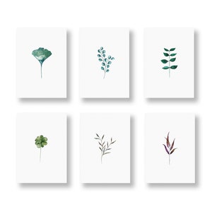 SET DI CARTOLINE di 6 carte, set botanico, biglietti di auguri, buoni regalo, biglietti di fiori, biglietti di piante, 6 cartoline per set, in DIN A6