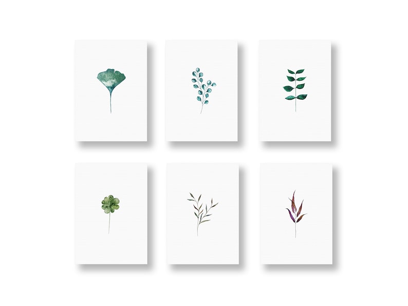 POSTCARD SET of 6 cards, botany set, greeting cards, gift cards, flower cards, plant cards, 6 postcards per set, in DIN A6 Botanik - Set