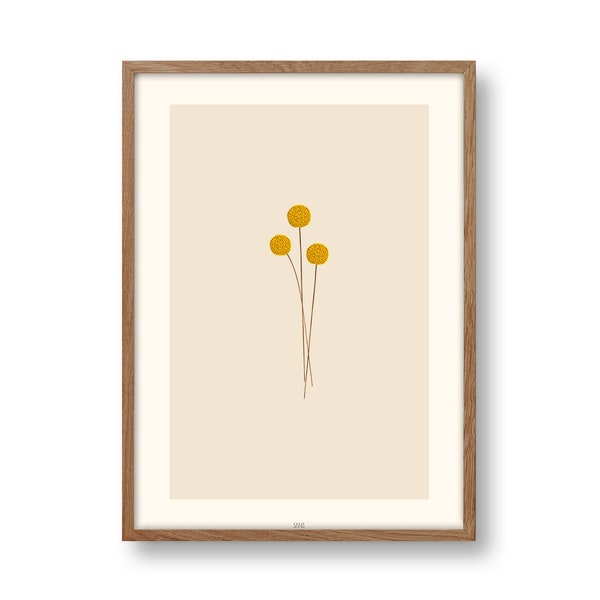 Craspedia Poster, florales Poster Din A4, Trommelstöckchen, floral, botanisch, Pflanzenposter, Blumenbild, minimalistisch, abstrakt, Din A4