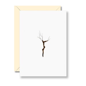 Wijnstok ansichtkaart, wijnstok, wijn, wijnstok, wijnliefhebbers, kaart, oude wijnstok, wijnstokhout, herfst, druivenoogst, wijnmakerij, wilde wijnstok, Din A6