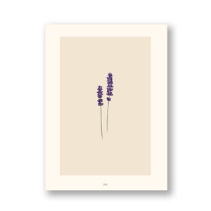 May include: A minimalist print featuring two sprigs of lavender flowers with purple blooms on a beige background.