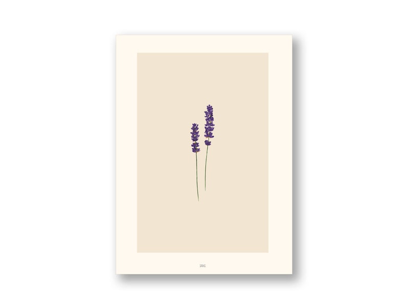 May include: A minimalist print featuring two sprigs of lavender flowers with purple blooms on a beige background.