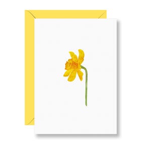 Narciso, biglietto di Pasqua, cartolina di narciso, narciso giallo, narciso, giunchiglia, acquerelli di piante, biglietto di acquerello, biglietto di Pasqua, A6