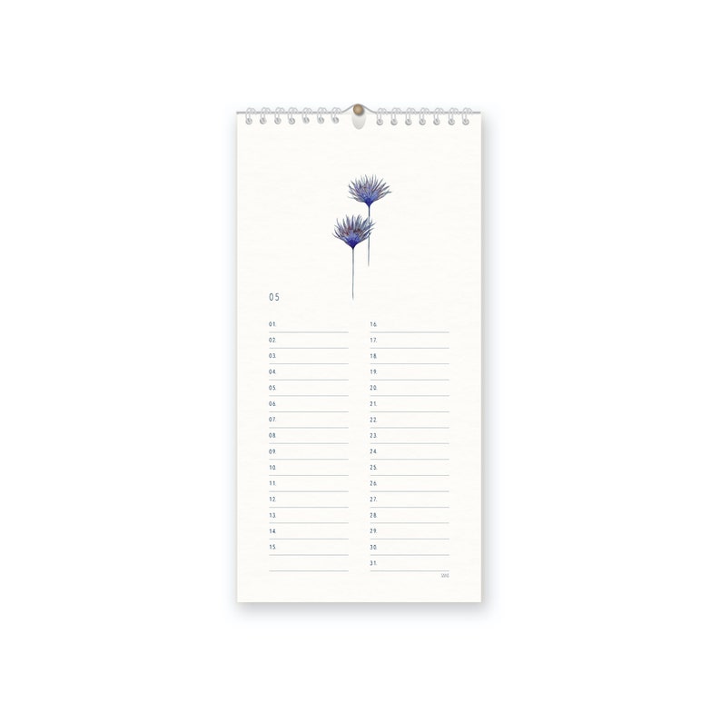 Pu&ograve; includere: Un calendario semplice con un'illustrazione ad acquerello di due fiori blu. Il calendario &egrave; per il mese di dicembre.