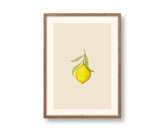 Affiche citron, affiche florale Din A4, citron, citron, floral, botanique, affiche végétale, image de fleur, minimaliste, abstrait, Din A4