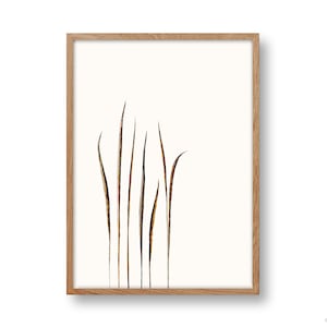 Poster GRAMAS DIN A4 e A3, flores secas, boho, pôster de planta, botânica, grama dos pampas, sala de estar, abstrato, motivo da natureza, impressão artística
