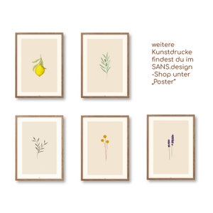 May include: Six framed botanical illustrations with a white background. The illustrations feature a lemon branch, an olive branch, a sprig of lavender, a sprig of yellow flowers, and two different sprigs of green leaves.
