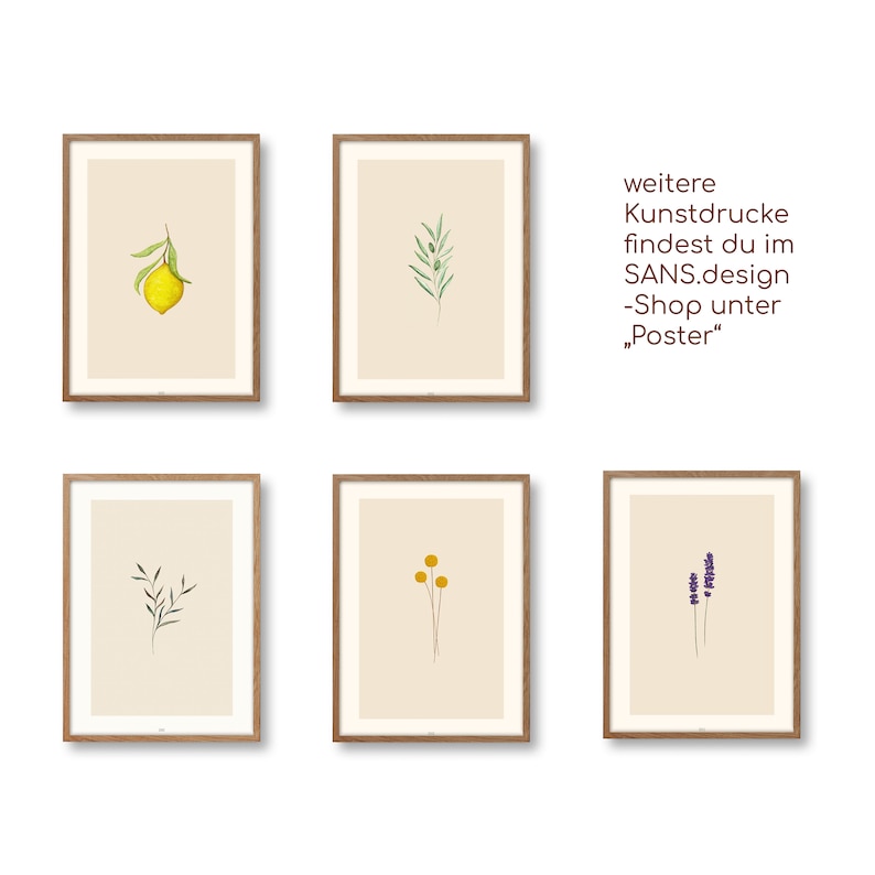 May include: Six framed botanical illustrations with a white background. The illustrations feature a lemon branch, an olive branch, a sprig of lavender, a sprig of yellow flowers, and two different sprigs of green leaves.