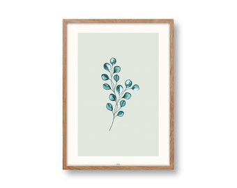 EUCALYPTUS POSTER, art print, picture, eucalyptus branch, plant poster, botany, poster living room, poster kitchen, natural paper DIN A4 & A3