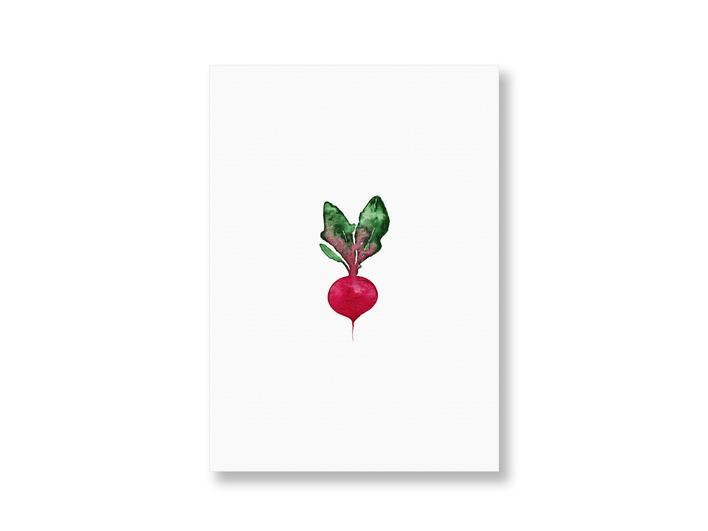 Radish postcard, radish, card vegetables, vegetables, Din A6, linen textured cardboard