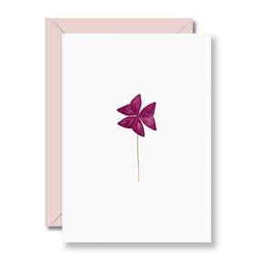 Klavertjevierkaart, klaverbriefkaart, ansichtkaart om cadeau te geven, verjaardagskaart, botanische kaart, kaartenset, kaart met envelop, A6