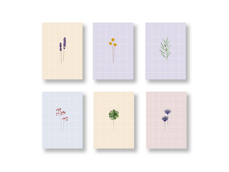 POSTKARTEN-Set aus 6 Karten, Floral-Set, Blumen Grußkarten, Geschenkkarten, Blumenkarten, Pflanzen Karten, 6 Postkarten pro Set, in DIN A6 Bild 7