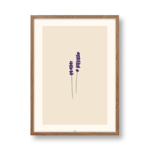 Póster LAVANDA, póster floral, lavanda, floral, morado, botánico, póster de plantas, imagen de flores, minimalista, DIN A4 o DIN A3