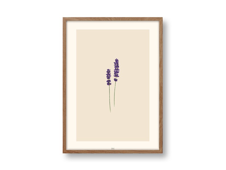 May include: A framed print of a minimalist botanical illustration featuring two sprigs of lavender with purple flowers on a cream background.