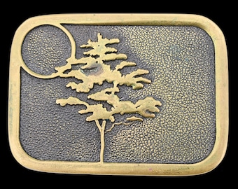 Tree of Life Cypress Cyprus Tree Sunrise Landscape Turquoise  display picture 2