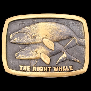 Right Whale Solid Brass 1970s Vintage Belt Buckle by BTS