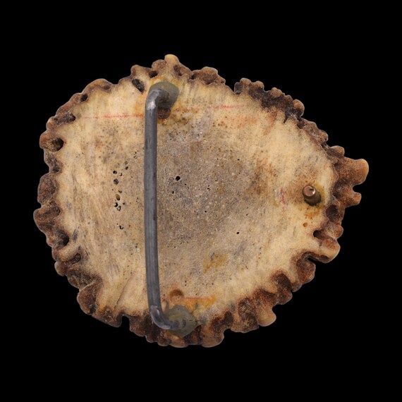 1 Brown #1 Elk Antler Crown/Rosette – 3 To 3.5 Inch – For Native Crafts