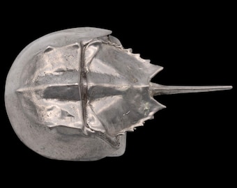 Horseshoe Crab Pewter Vintage Belt Buckle by B.F.