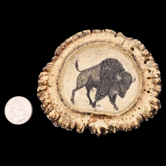 Antler Carving Buffalo Bison Crown Burr Rosette V… - image 5