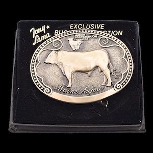 Maine Anjou Cattle Breed Tony Lama Solid Brass Vintage Belt Buckle W/Box