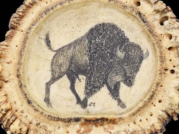 Antler Carving Buffalo Bison Crown Burr Rosette V… - image 4