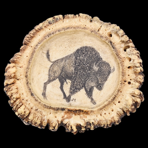 Antler Carving Buffalo Bison Crown Burr Rosette V… - image 1