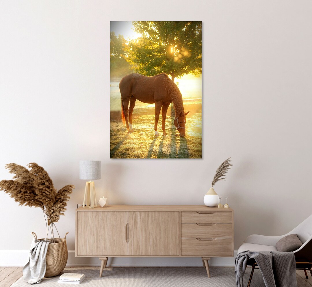 Horse Wall Art Horse Wall Decor Horse Canvas Horse Print - Etsy