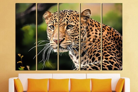 Leopard Wall Art Poster Print Photo