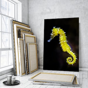 Yellow Seahorse wall art, Seahorse canvas print, Underwater Life Canvas Decor, Seahorse Print Canvas, Sea Life Painting on Canvas