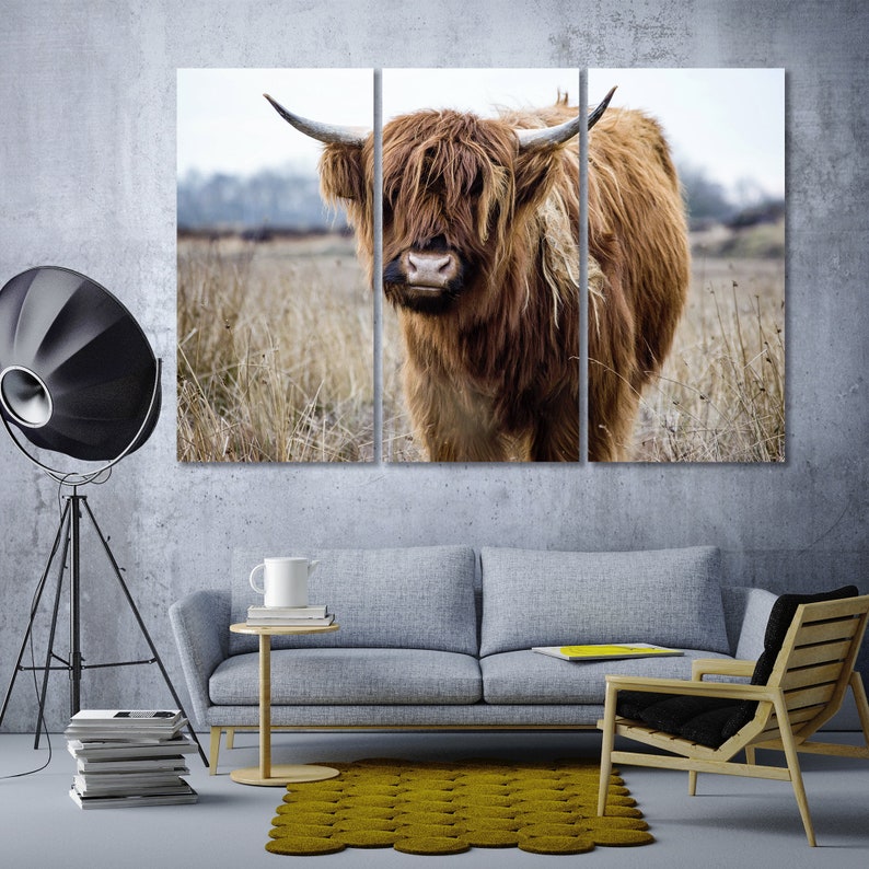 Highland Bull large wall decor