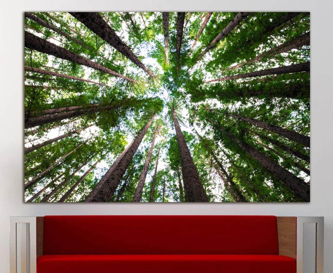 Forest canvas Forest wall decor Forest print Forest wall art Etsy