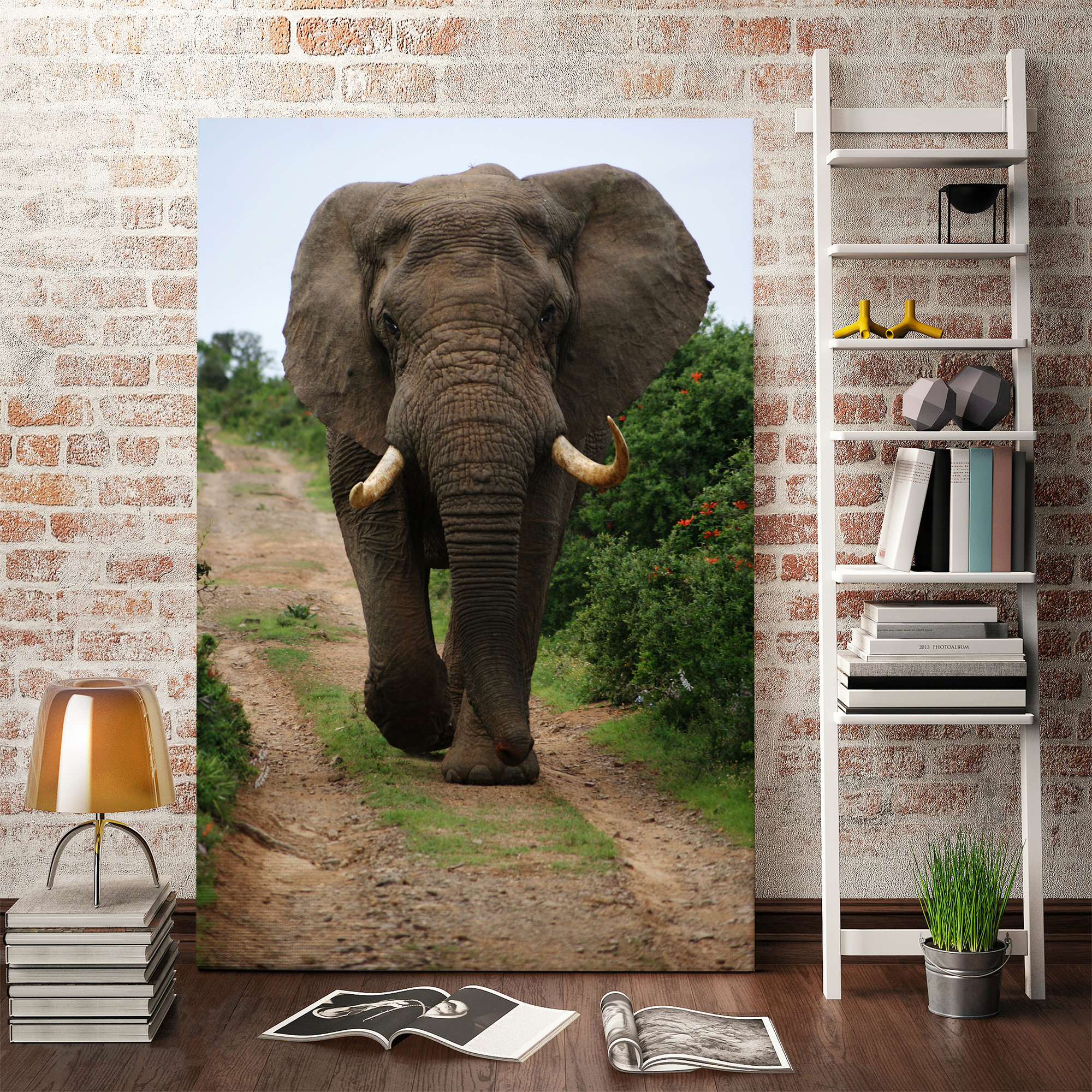 Elephant Canvas Elephant Wall Art Elephant print Elephant wall | Etsy