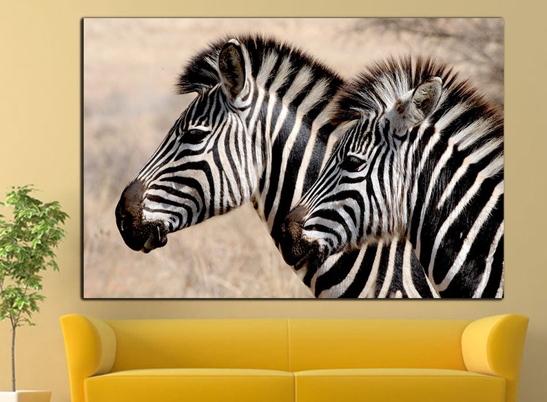 Zebra wall art Zebra wall decor Zebra canvas Zebra print Etsy