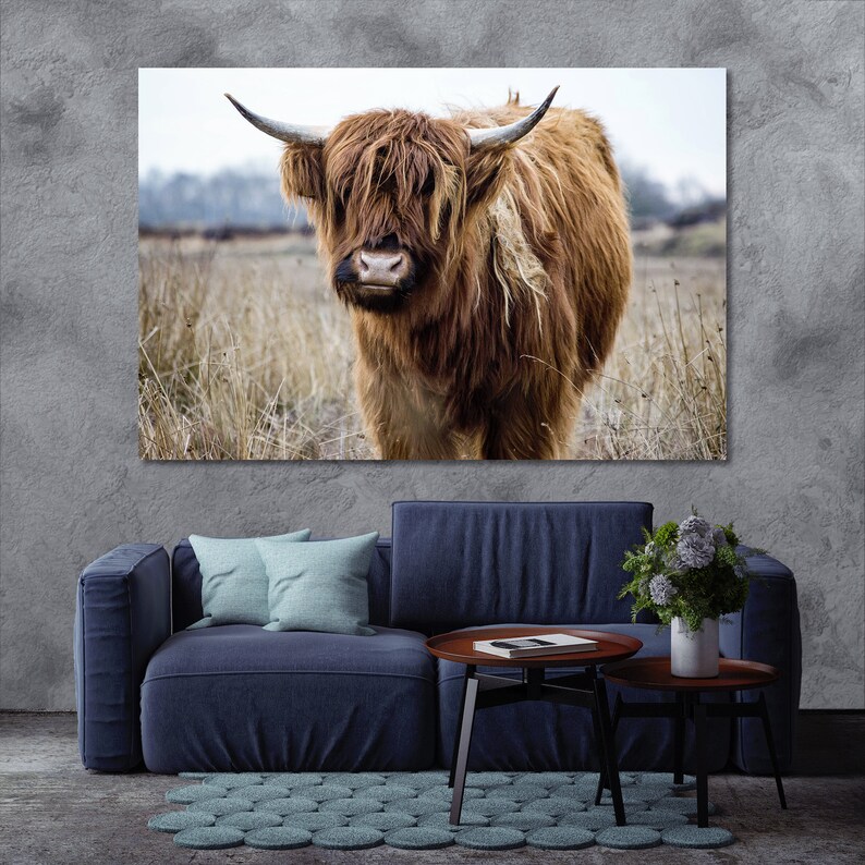 Highland Bull large wall decor