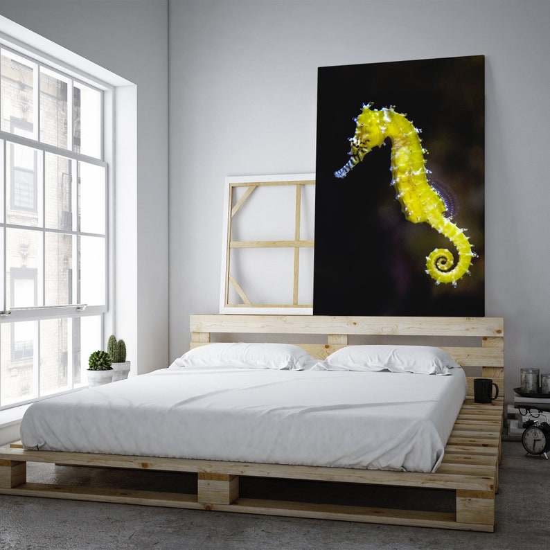 Yellow Seahorse Wall Art Seahorse Canvas Print Underwater Etsy