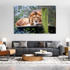 Lion canvas Lion  wall decor Lion wall art Lion print Animal Canvas Wall Art Large  Print Decor Wild Animals decor for wall Safari Animals