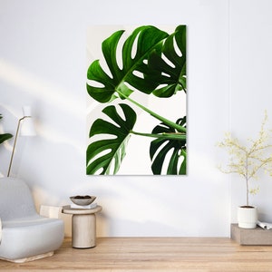 Monstera Leaves Wall Art Frame Green Plants Wall Decor - Etsy