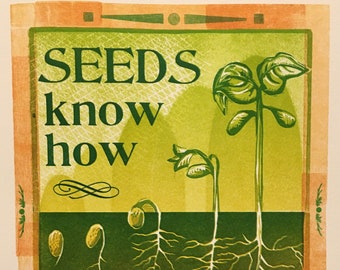 Seeds Know How to Wait