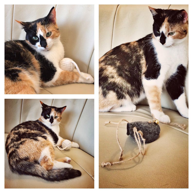 what are the best toys for kittens